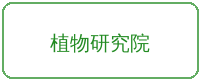 高清动漫合作品牌植物研究院
